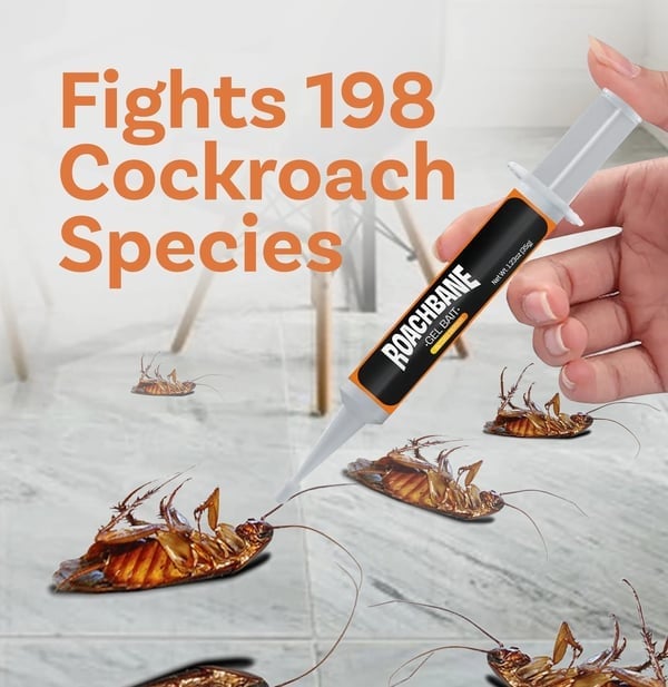 🔥Akciós 49% kedvezmény🔥RoachBane gél csali (új, továbbfejlesztett formula)
